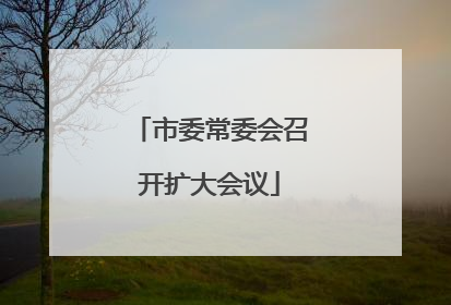 市委常委会召开扩大会议