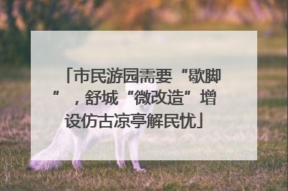市民游园需要“歇脚”，舒城“微改造”增设仿古凉亭解民忧