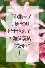 市集来了，嗨YOU巴士也来了！海淀玩转“龙舟+”