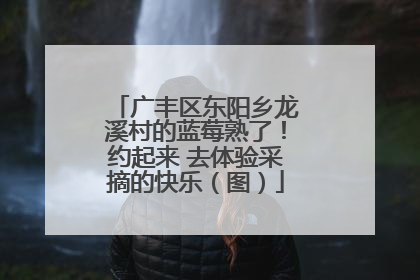 广丰区东阳乡龙溪村的蓝莓熟了！约起来 去体验采摘的快乐（图）