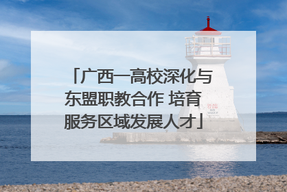 广西一高校深化与东盟职教合作 培育服务区域发展人才
