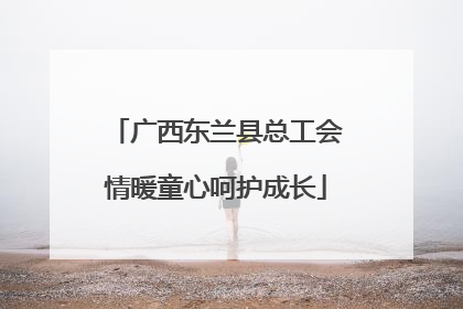 广西东兰县总工会情暖童心呵护成长