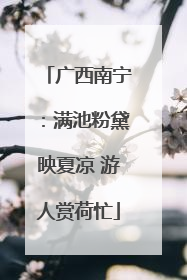 广西南宁：满池粉黛映夏凉 游人赏荷忙