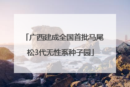 广西建成全国首批马尾松3代无性系种子园