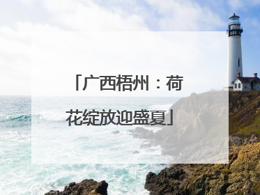 广西梧州：荷花绽放迎盛夏