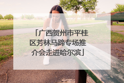 广西贺州市平桂区芳林马蹄专场推介会走进哈尔滨