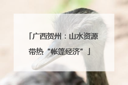 广西贺州：山水资源带热“帐篷经济”