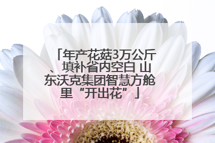 年产花菇3万公斤、填补省内空白 山东沃克集团智慧方舱里“开出花”