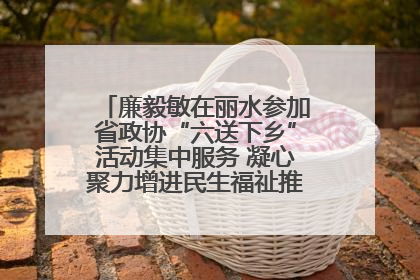 廉毅敏在丽水参加省政协“六送下乡”活动集中服务 凝心聚力增进民生福祉推进共同富裕