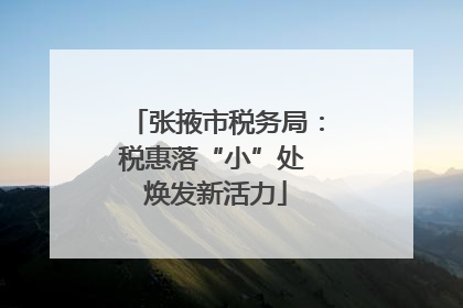 张掖市税务局：税惠落“小”处 焕发新活力