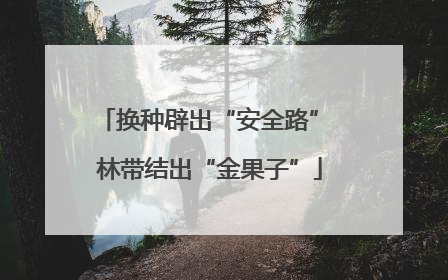 换种辟出“安全路” 林带结出“金果子”