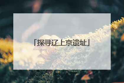 探寻辽上京遗址