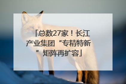 总数27家！长江产业集团“专精特新”矩阵再扩容