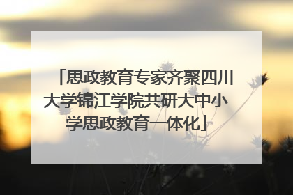 思政教育专家齐聚四川大学锦江学院共研大中小学思政教育一体化