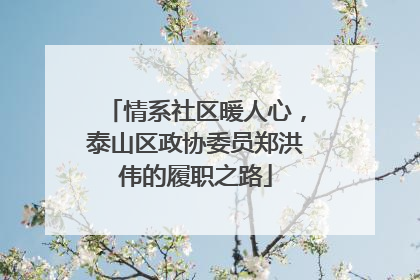 情系社区暖人心，泰山区政协委员郑洪伟的履职之路