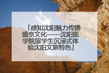感知沈阳魅力传播盛京文化——沈阳医学院留学生沉浸式体验沈阳文旅特色