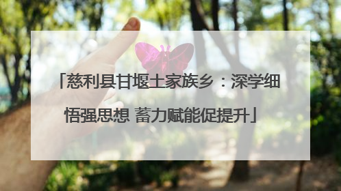 慈利县甘堰土家族乡：深学细悟强思想 蓄力赋能促提升