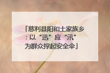 慈利县阳和土家族乡：以“迅”应“汛” 为群众撑起安全伞