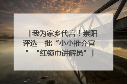 我为家乡代言！崇阳评选一批“小小推介官”“红领巾讲解员”