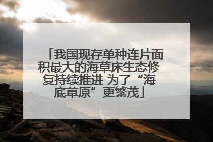 我国现存单种连片面积最大的海草床生态修复持续推进 为了“海底草原”更繁茂