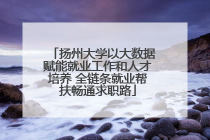扬州大学以大数据赋能就业工作和人才培养 全链条就业帮扶畅通求职路