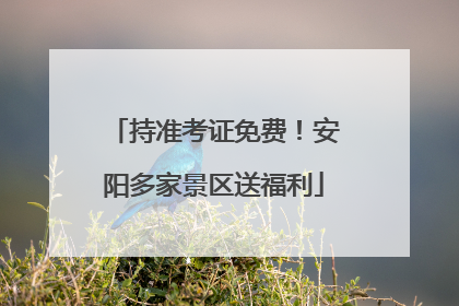 持准考证免费！安阳多家景区送福利