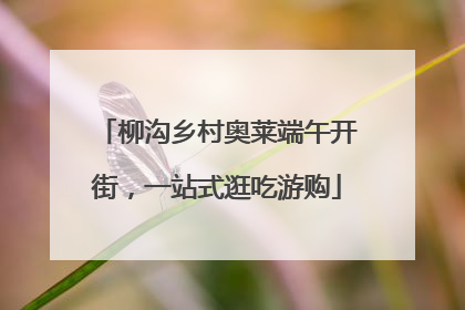 柳沟乡村奥莱端午开街，一站式逛吃游购