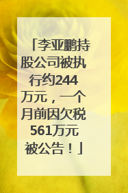 李亚鹏持股公司被执行约244万元，一个月前因欠税561万元被公告！