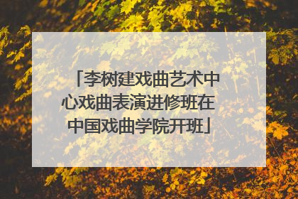 李树建戏曲艺术中心戏曲表演进修班在中国戏曲学院开班