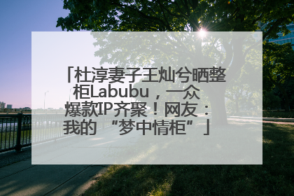 杜淳妻子王灿兮晒整柜Labubu，一众爆款IP齐聚！网友：我的 “梦中情柜”