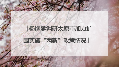 杨继承调研太原市加力扩围实施“两新”政策情况