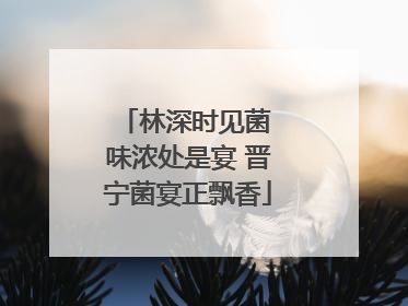 林深时见菌 味浓处是宴 晋宁菌宴正飘香