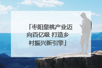 枣阳皇桃产业迈向百亿级 打造乡村振兴新引擎