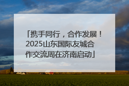携手同行，合作发展！2025山东国际友城合作交流周在济南启动