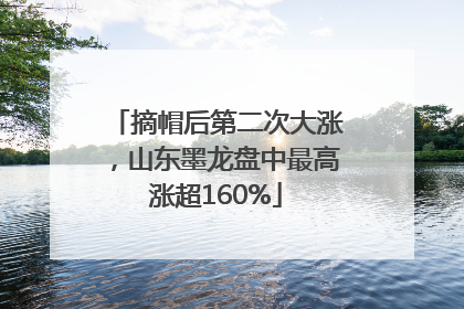摘帽后第二次大涨，山东墨龙盘中最高涨超160%