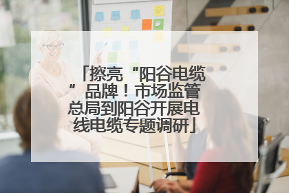 擦亮“阳谷电缆”品牌！市场监管总局到阳谷开展电线电缆专题调研