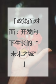 政策面对面：开发向下生长的“未来之城”