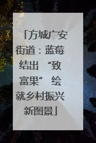 方城广安街道：蓝莓结出 “致富果” 绘就乡村振兴新图景