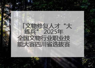 文物修复人才“大练兵” 2025年全国文物行业职业技能大赛四川省选拔赛即将启幕