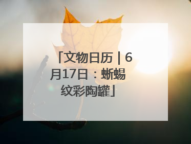 文物日历｜6月17日：蜥蜴纹彩陶罐