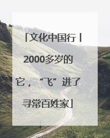 文化中国行丨2000多岁的它，“飞”进了寻常百姓家