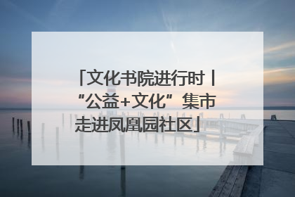 文化书院进行时丨“公益+文化”集市走进凤凰园社区