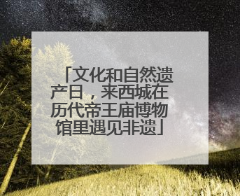 文化和自然遗产日，来西城在历代帝王庙博物馆里遇见非遗