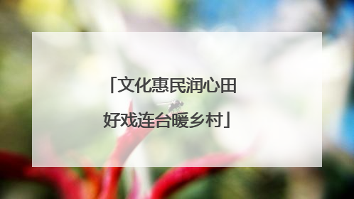 文化惠民润心田 好戏连台暖乡村