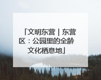 文明东营｜东营区：公园里的全龄文化栖息地