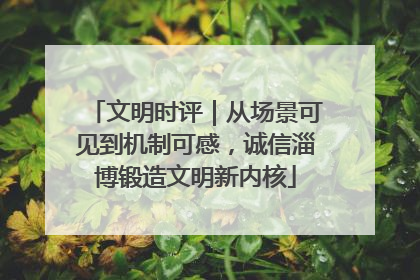 文明时评｜从场景可见到机制可感，诚信淄博锻造文明新内核