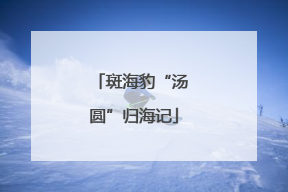 斑海豹“汤圆”归海记