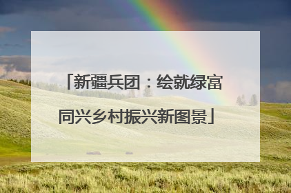 新疆兵团：绘就绿富同兴乡村振兴新图景