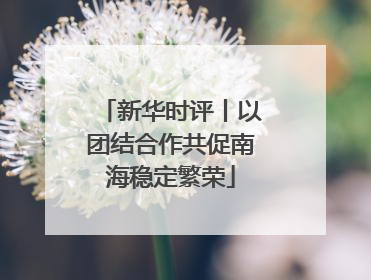 新华时评丨以团结合作共促南海稳定繁荣