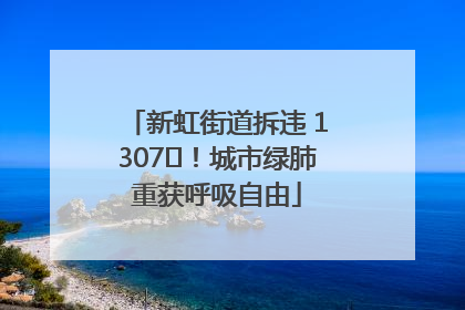 新虹街道拆违 1307㎡！城市绿肺重获呼吸自由